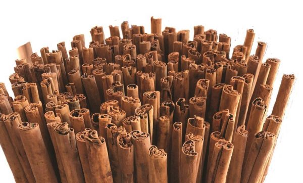 Cinnamon Sticks LR